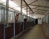 Reitanlage Bohmte  Gro�e Anzahl aktueller Bauernh�user, Bauernh�fe, Reiterh�fe, alte M�hlen - hier finden auch Sie IHR Bauernhaus, Bauernhof, Reiterhof oder alte M�hle!