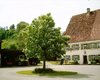 Verpachtung Rottweil  Gro�e Anzahl aktueller Bauernh�user, Bauernh�fe, Reiterh�fe, alte M�hlen - hier finden auch Sie IHR Bauernhaus, Bauernhof, Reiterhof oder alte M�hle!
