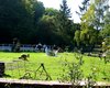 Reiterhof Altenstadt  Gro�e Anzahl aktueller Bauernh�user, Bauernh�fe, Reiterh�fe, alte M�hlen - hier finden auch Sie IHR Bauernhaus, Bauernhof, Reiterhof oder alte M�hle!