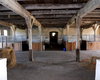 Reiterhof Feldberger Seenlandschaft                                   Gro�e Anzahl aktueller Bauernh�user, Bauernh�fe, Reiterh�fe, alte M�hlen - hier finden auch Sie IHR Bauernhaus, Bauernhof, Reiterhof oder alte M�hle!