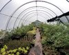 Gewerbeimmobilie K�nigsbr�ck  Gro�e Anzahl aktueller Bauernh�user, Bauernh�fe, Reiterh�fe, alte M�hlen - hier finden auch Sie IHR Bauernhaus, Bauernhof, Reiterhof oder alte M�hle!