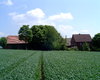 Bauernhof Klein Berkel  Gro�e Anzahl aktueller Bauernh�user, Bauernh�fe, Reiterh�fe, alte M�hlen - hier finden auch Sie IHR Bauernhaus, Bauernhof, Reiterhof oder alte M�hle!