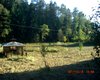 Reiterhof Bad Br�ckenau  Gro�e Anzahl aktueller Bauernh�user, Bauernh�fe, Reiterh�fe, alte M�hlen - hier finden auch Sie IHR Bauernhaus, Bauernhof, Reiterhof oder alte M�hle!