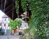 Reiterhof Bad Hersfeld  Gro�e Anzahl aktueller Bauernh�user, Bauernh�fe, Reiterh�fe, alte M�hlen - hier finden auch Sie IHR Bauernhaus, Bauernhof, Reiterhof oder alte M�hle!