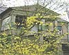 Bauernhof Cochstedt  Gro�e Anzahl aktueller Bauernh�user, Bauernh�fe, Reiterh�fe, alte M�hlen - hier finden auch Sie IHR Bauernhaus, Bauernhof, Reiterhof oder alte M�hle!
