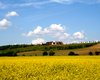 Reiterhof Szomor Große Anzahl aktueller Bauernhäuser, Bauernhöfe, Reiterhöfe, alte Mühlen - hier finden auch Sie IHR Bauernhaus, Bauernhof, Reiterhof oder alte Mühle!