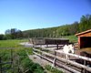 Reiterhof K�nigsberg  Gro�e Anzahl aktueller Bauernh�user, Bauernh�fe, Reiterh�fe, alte M�hlen - hier finden auch Sie IHR Bauernhaus, Bauernhof, Reiterhof oder alte M�hle!