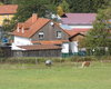 Bauernhof Freiensteinau Große Anzahl aktueller Bauernhäuser, Bauernhöfe, Reiterhöfe, alte Mühlen - hier finden auch Sie IHR Bauernhaus, Bauernhof, Reiterhof oder alte Mühle!