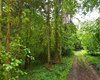 Wald Mitterfels Große Anzahl aktueller Bauernhäuser, Bauernhöfe, Reiterhöfe, alte Mühlen - hier finden auch Sie IHR Bauernhaus, Bauernhof, Reiterhof oder alte Mühle!