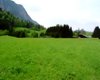 Weideland Schneizlreuth  Gro�e Anzahl aktueller Bauernh�user, Bauernh�fe, Reiterh�fe, alte M�hlen - hier finden auch Sie IHR Bauernhaus, Bauernhof, Reiterhof oder alte M�hle!