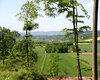 Bauernhof Detmold Große Anzahl aktueller Bauernhäuser, Bauernhöfe, Reiterhöfe, alte Mühlen - hier finden auch Sie IHR Bauernhaus, Bauernhof, Reiterhof oder alte Mühle!