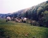 Muehle Kempfeld Große Anzahl aktueller Bauernhäuser, Bauernhöfe, Reiterhöfe, alte Mühlen - hier finden auch Sie IHR Bauernhaus, Bauernhof, Reiterhof oder alte Mühle!