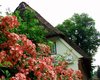 Bauernhaus Bordesholm  Gro�e Anzahl aktueller Bauernh�user, Bauernh�fe, Reiterh�fe, alte M�hlen - hier finden auch Sie IHR Bauernhaus, Bauernhof, Reiterhof oder alte M�hle!