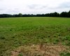 Bauernhof Zechin  Gro�e Anzahl aktueller Bauernh�user, Bauernh�fe, Reiterh�fe, alte M�hlen - hier finden auch Sie IHR Bauernhaus, Bauernhof, Reiterhof oder alte M�hle!