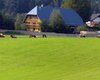 Bauernhof Lauterbach  Gro�e Anzahl aktueller Bauernh�user, Bauernh�fe, Reiterh�fe, alte M�hlen - hier finden auch Sie IHR Bauernhaus, Bauernhof, Reiterhof oder alte M�hle!
