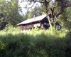 Bauernhaus Kollnburg Große Anzahl aktueller Bauernhäuser, Bauernhöfe, Reiterhöfe, alte Mühlen - hier finden auch Sie IHR Bauernhaus, Bauernhof, Reiterhof oder alte Mühle!