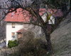 Bauernhof G�tenbach  Gro�e Anzahl aktueller Bauernh�user, Bauernh�fe, Reiterh�fe, alte M�hlen - hier finden auch Sie IHR Bauernhaus, Bauernhof, Reiterhof oder alte M�hle!